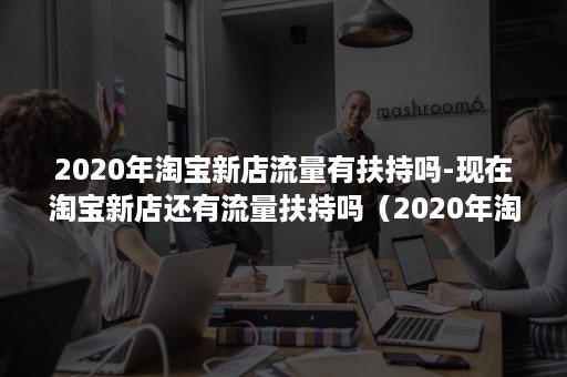 2020年淘宝新店流量有扶持吗-现在淘宝新店还有流量扶持吗（2020年淘宝流量入口）