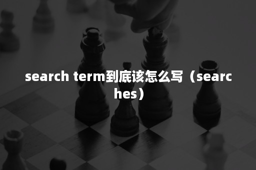 search term到底该怎么写（searches）