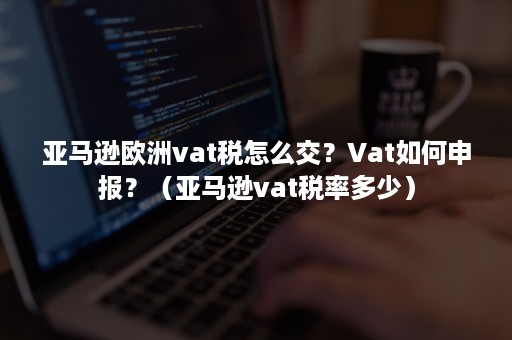 亚马逊欧洲vat税怎么交？Vat如何申报？（亚马逊vat税率多少）