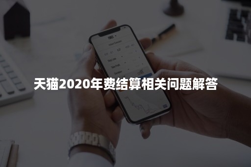 天猫2020年费结算相关问题解答