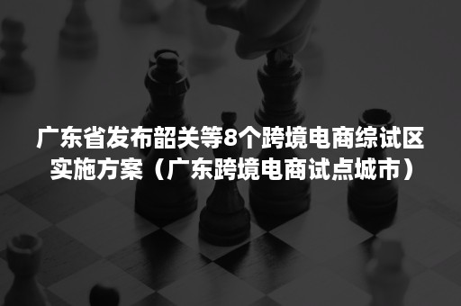 广东省发布韶关等8个跨境电商综试区实施方案（广东跨境电商试点城市）