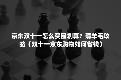 京东双十一怎么买最划算？薅羊毛攻略（双十一京东购物如何省钱）