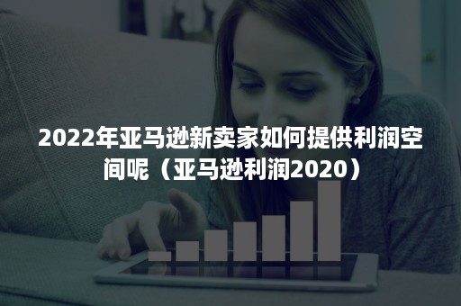 2022年亚马逊新卖家如何提供利润空间呢（亚马逊利润2020）