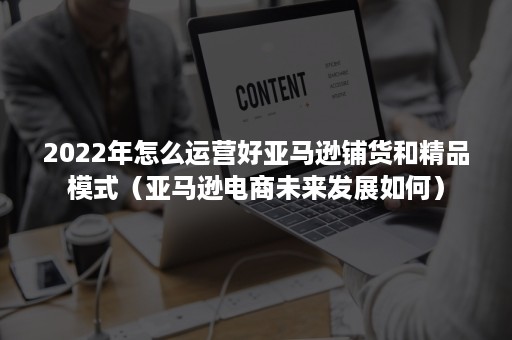 2022年怎么运营好亚马逊铺货和精品模式（亚马逊电商未来发展如何）