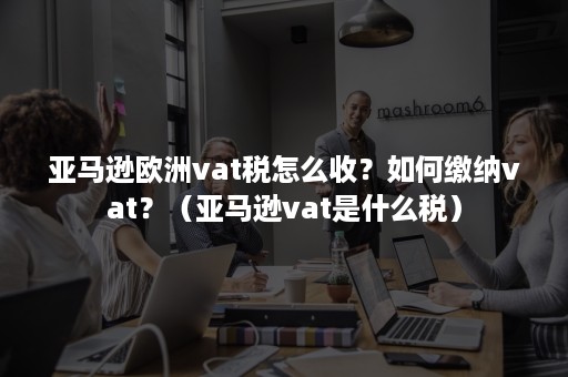 亚马逊欧洲vat税怎么收？如何缴纳vat？（亚马逊vat是什么税）