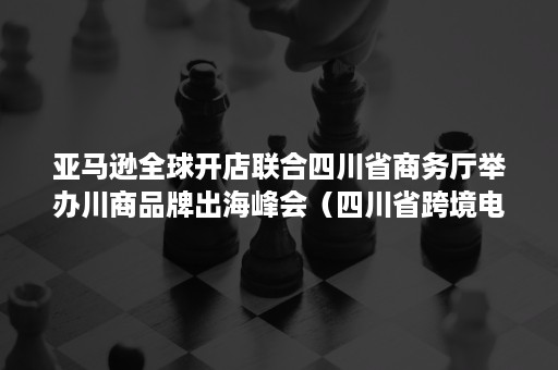 亚马逊全球开店联合四川省商务厅举办川商品牌出海峰会（四川省跨境电子商务协会）