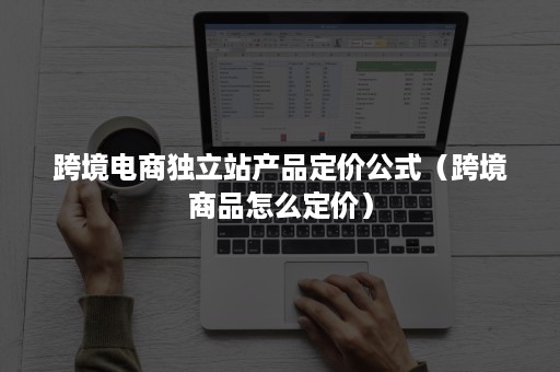 跨境电商独立站产品定价公式（跨境商品怎么定价）