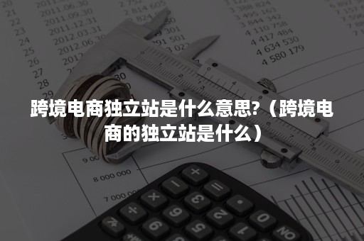 跨境电商独立站是什么意思?（跨境电商的独立站是什么）