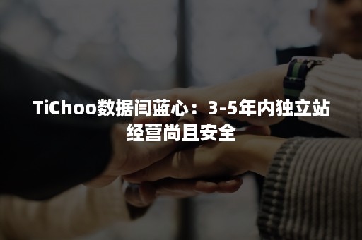 TiChoo数据闫蓝心：3-5年内独立站经营尚且安全