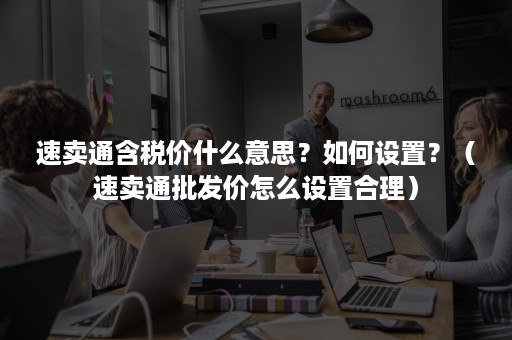 速卖通含税价什么意思？如何设置？（速卖通批发价怎么设置合理）