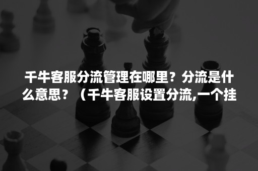 千牛客服分流管理在哪里？分流是什么意思？（千牛客服设置分流,一个挂起）