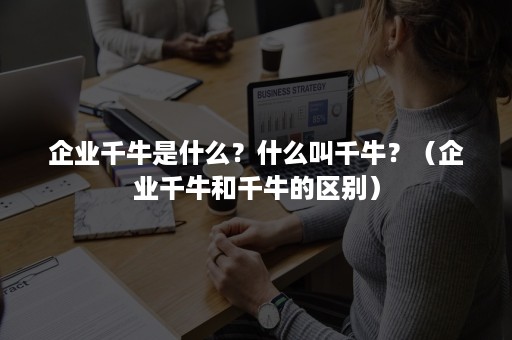 企业千牛是什么？什么叫千牛？（企业千牛和千牛的区别）