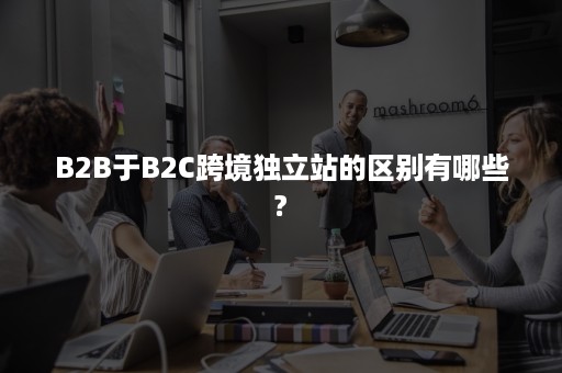 B2B于B2C跨境独立站的区别有哪些?