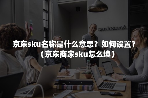 京东sku名称是什么意思？如何设置？（京东商家sku怎么填）
