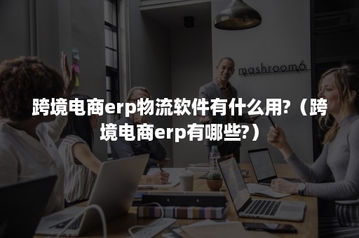 跨境电商erp物流软件有什么用?（跨境电商erp有哪些?）