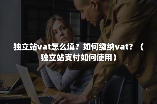 独立站vat怎么填？如何缴纳vat？（独立站支付如何使用）