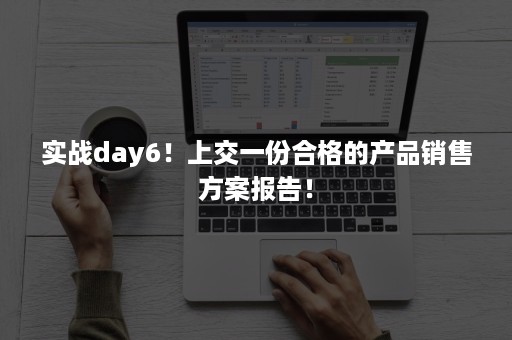 实战day6！上交一份合格的产品销售方案报告！