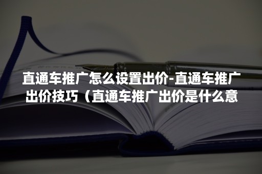 直通车推广怎么设置出价-直通车推广出价技巧（直通车推广出价是什么意思）