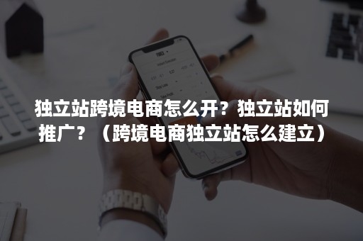 独立站跨境电商怎么开？独立站如何推广？（跨境电商独立站怎么建立）