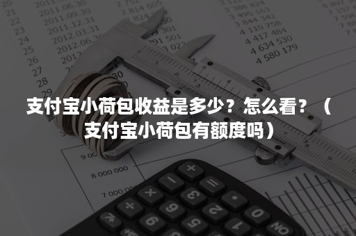 支付宝小荷包收益是多少？怎么看？（支付宝小荷包有额度吗）