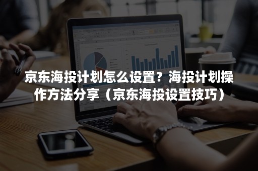 京东海投计划怎么设置？海投计划操作方法分享（京东海投设置技巧）