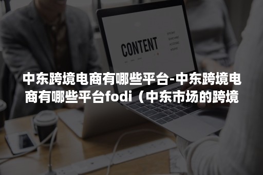 中东跨境电商有哪些平台-中东跨境电商有哪些平台fodi（中东市场的跨境电商平台）