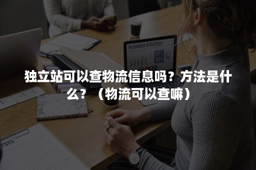 独立站可以查物流信息吗？方法是什么？（物流可以查嘛）