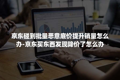 京东碰到批量恶意底价提升销量怎么办-京东买东西发现降价了怎么办