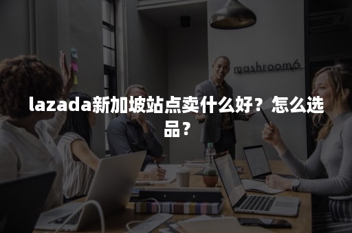 lazada新加坡站点卖什么好？怎么选品？