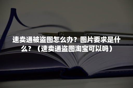 速卖通被盗图怎么办？图片要求是什么？（速卖通盗图淘宝可以吗）