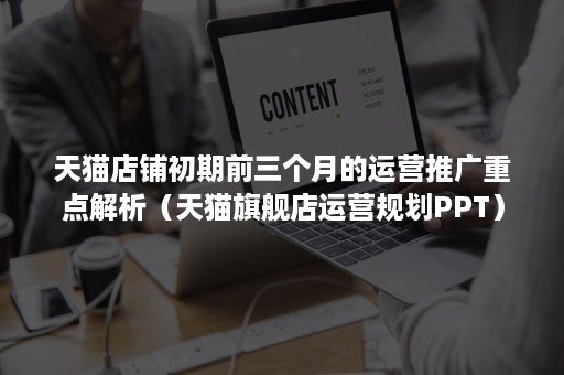 天猫店铺初期前三个月的运营推广重点解析（天猫旗舰店运营规划PPT）