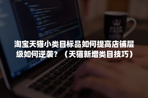 淘宝天猫小类目标品如何提高店铺层级如何逆袭?(天猫新增类目技巧) 淘宝天猫小类目标品如何提高店铺层级如何逆袭?(天猫新增类目技巧)