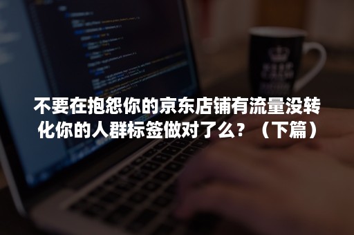 不要在抱怨你的京东店铺有流量没转化你的人群标签做对了么？（下篇）