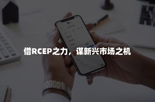 借RCEP之力，谋新兴市场之机