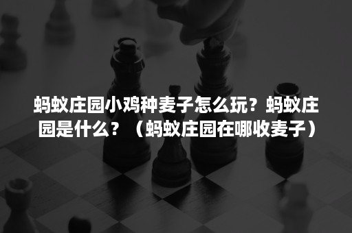 蚂蚁庄园小鸡种麦子怎么玩？蚂蚁庄园是什么？（蚂蚁庄园在哪收麦子）