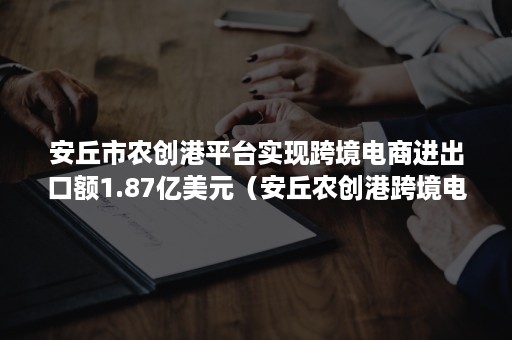 安丘市农创港平台实现跨境电商进出口额1.87亿美元（安丘农创港跨境电商产业园）