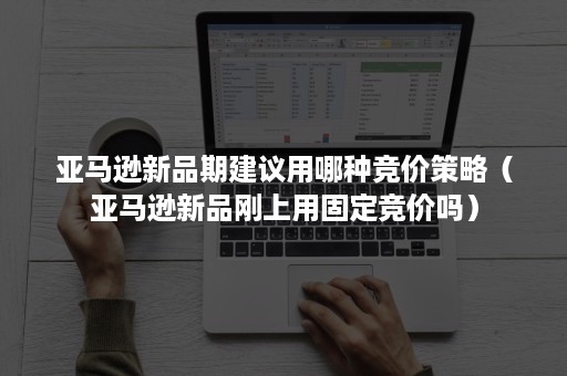 亚马逊新品期建议用哪种竞价策略（亚马逊新品刚上用固定竞价吗）