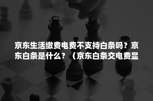 京东生活缴费电费不支持白条吗？京东白条是什么？（京东白条交电费显示不支持怎么办）