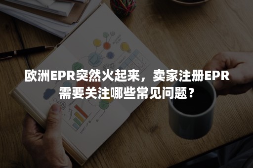 欧洲EPR突然火起来，卖家注册EPR需要关注哪些常见问题？