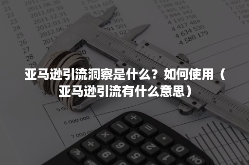 亚马逊引流洞察是什么？如何使用（亚马逊引流有什么意思）