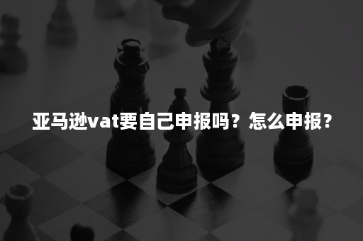 亚马逊vat要自己申报吗？怎么申报？