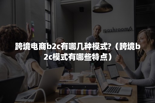 跨境电商b2c有哪几种模式?（跨境b2c模式有哪些特点）