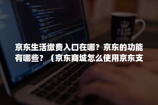 京东生活缴费入口在哪？京东的功能有哪些？（京东商城怎么使用京东支付）