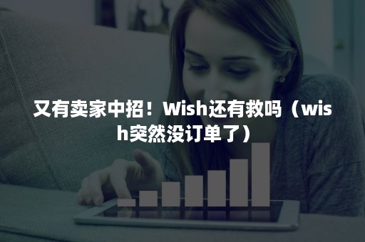 又有卖家中招！Wish还有救吗（wish突然没订单了）