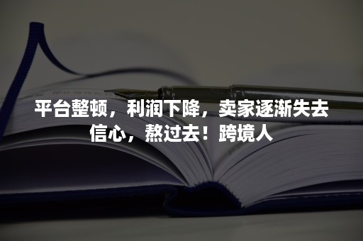 平台整顿，利润下降，卖家逐渐失去信心，熬过去！跨境人