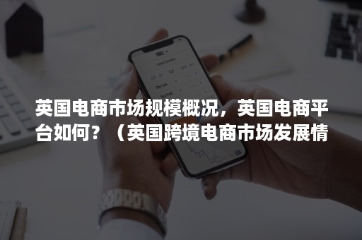 英国电商市场规模概况,英国电商平台如何?(英国跨境电商市场发展情况及特点) 英国电商市场规模概况,英国电商平台如何?(英国跨境电商市场发展情况及特点)