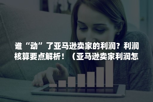 谁“动”了亚马逊卖家的利润？利润核算要点解析！（亚马逊卖家利润怎么算）