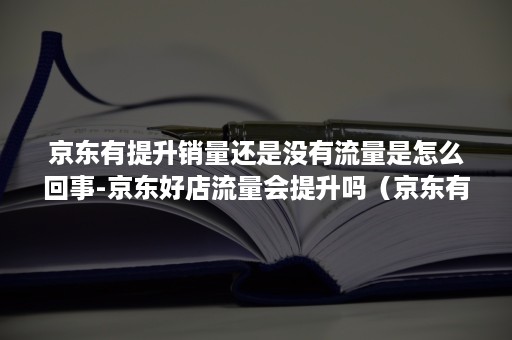 京东有提升销量还是没有流量是怎么回事-京东好店流量会提升吗（京东有排名没有流量怎么办）