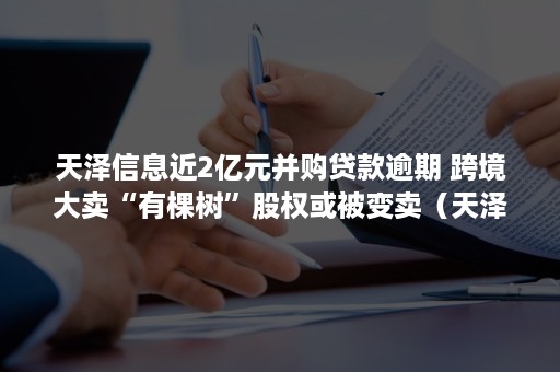 天泽信息近2亿元并购贷款逾期 跨境大卖“有棵树”股权或被变卖（天泽信息重组最新消息）