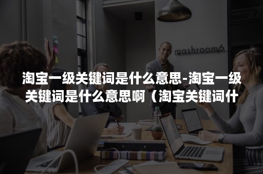 淘宝一级关键词是什么意思-淘宝一级关键词是什么意思啊(淘宝关键词什么叫一类词) 淘宝一级关键词是什么意思-淘宝一级关键词是什么意思啊(淘宝关键词什么叫一类词)